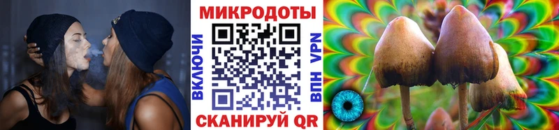 Псилоцибиновые грибы Psilocybine cubensis  Старая Купавна 