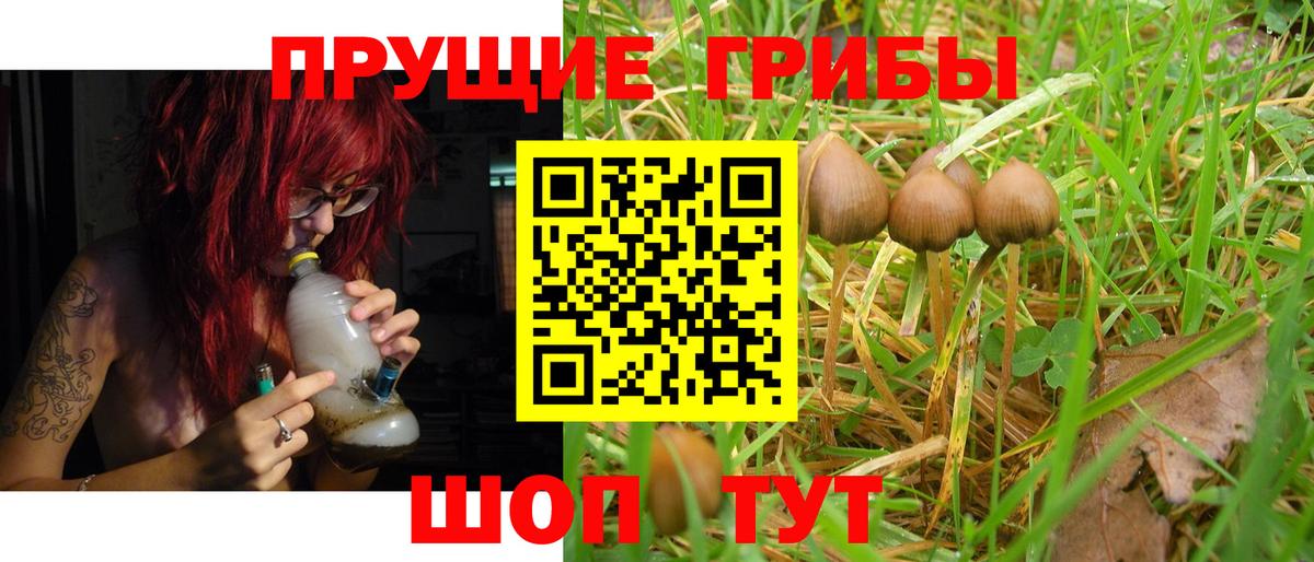 Галлюциногенные грибы прущие грибы Старая Купавна